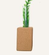 Cork Plant Pots